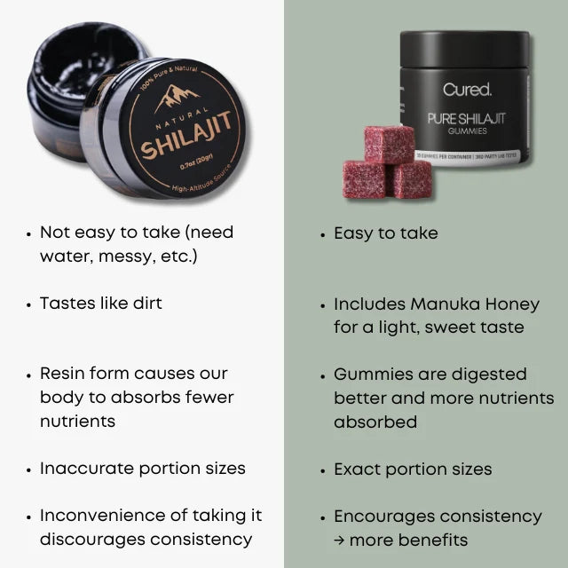 Sea Moss + Shilajit Gummies bundle for Men – Energy & Vitality 30 Day Bundle