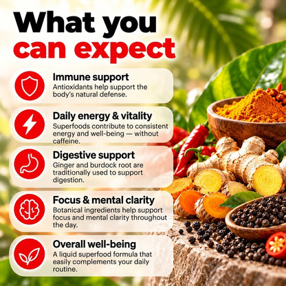 Burn Evolved 2.0 – Liquid Superfood Formula with Turmeric, Ginger & Black Seed – 60 ml