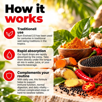 Burn Evolved 2.0 – Liquid Superfood Formula with Turmeric, Ginger & Black Seed – 60 ml