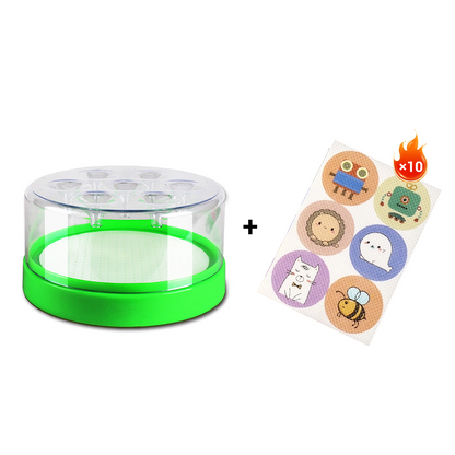 🪰 Reusable Fly Trap – No Electricity Needed for Your Kitchen, Garden & Patio 🌿