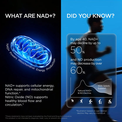 NAD+ for Men – Daily Wellness & Vitality Support Capsules