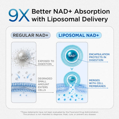 NAD+ for Men – Daily Wellness & Vitality Support Capsules