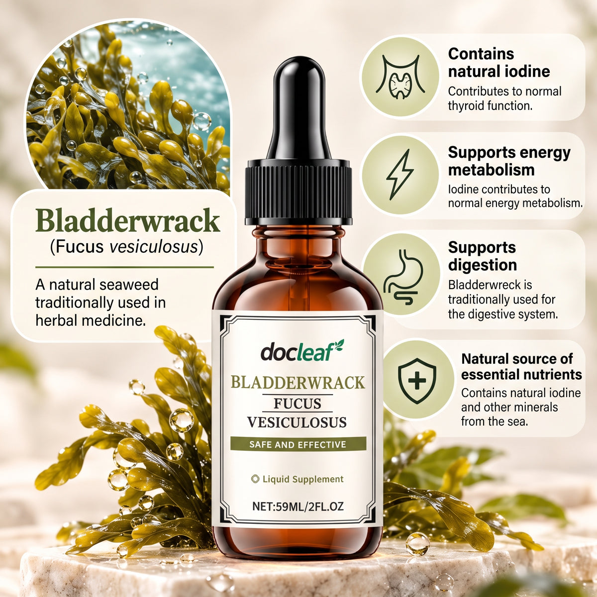 Bladderwrack Liquid Supplement with Fucus Vesiculosus – 59 ml