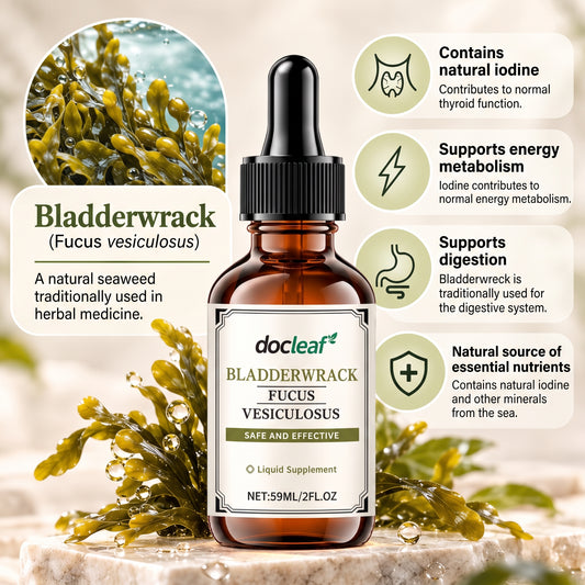 Bladderwrack Liquid Supplement with Fucus Vesiculosus – 59 ml