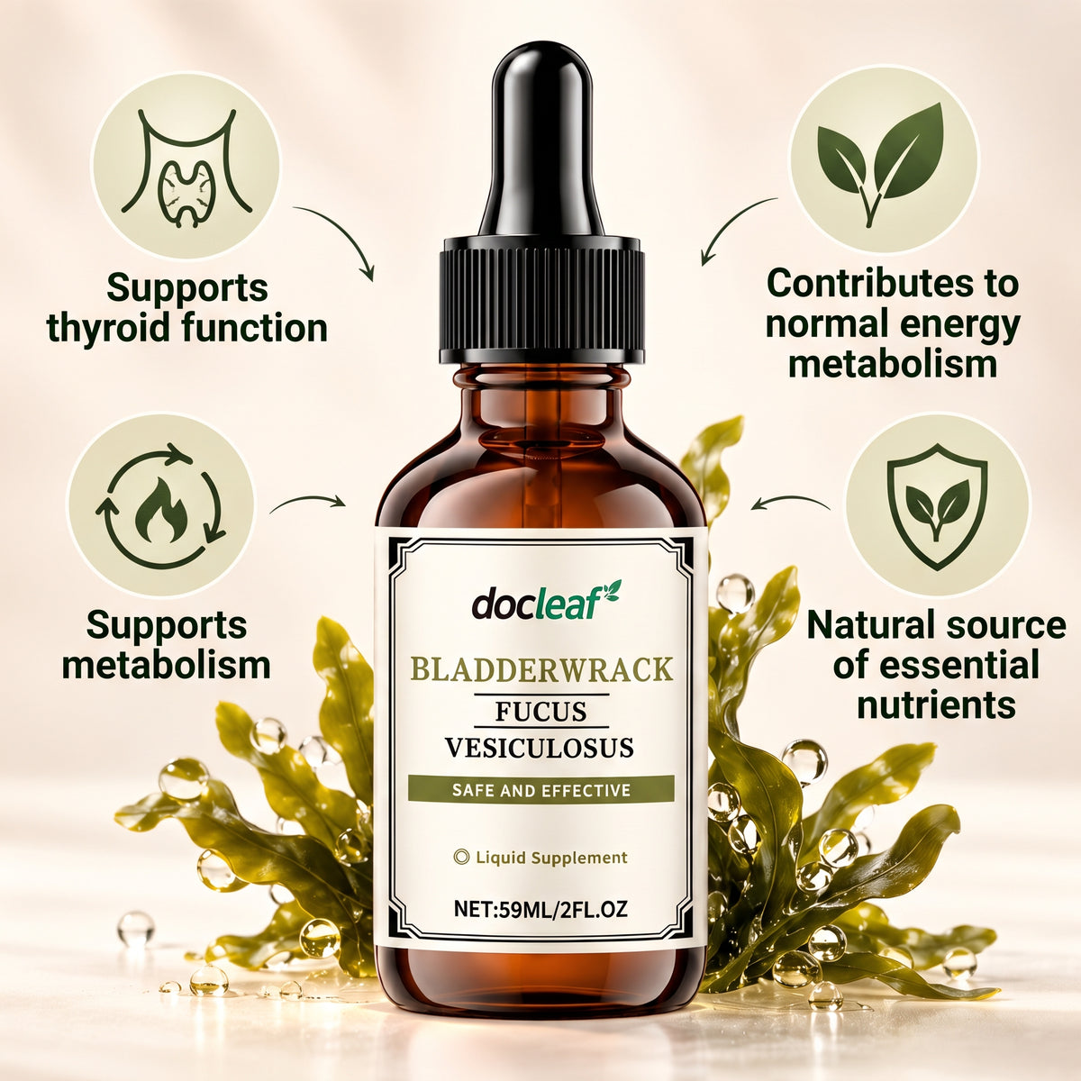 Bladderwrack Liquid Supplement with Fucus Vesiculosus – 59 ml