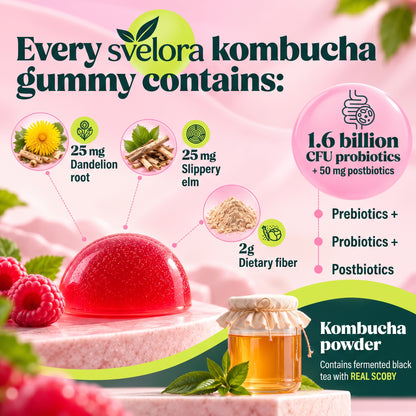 Kombucha Gummies with Probiotics, Prebiotics & Postbiotics – 30 Gummies