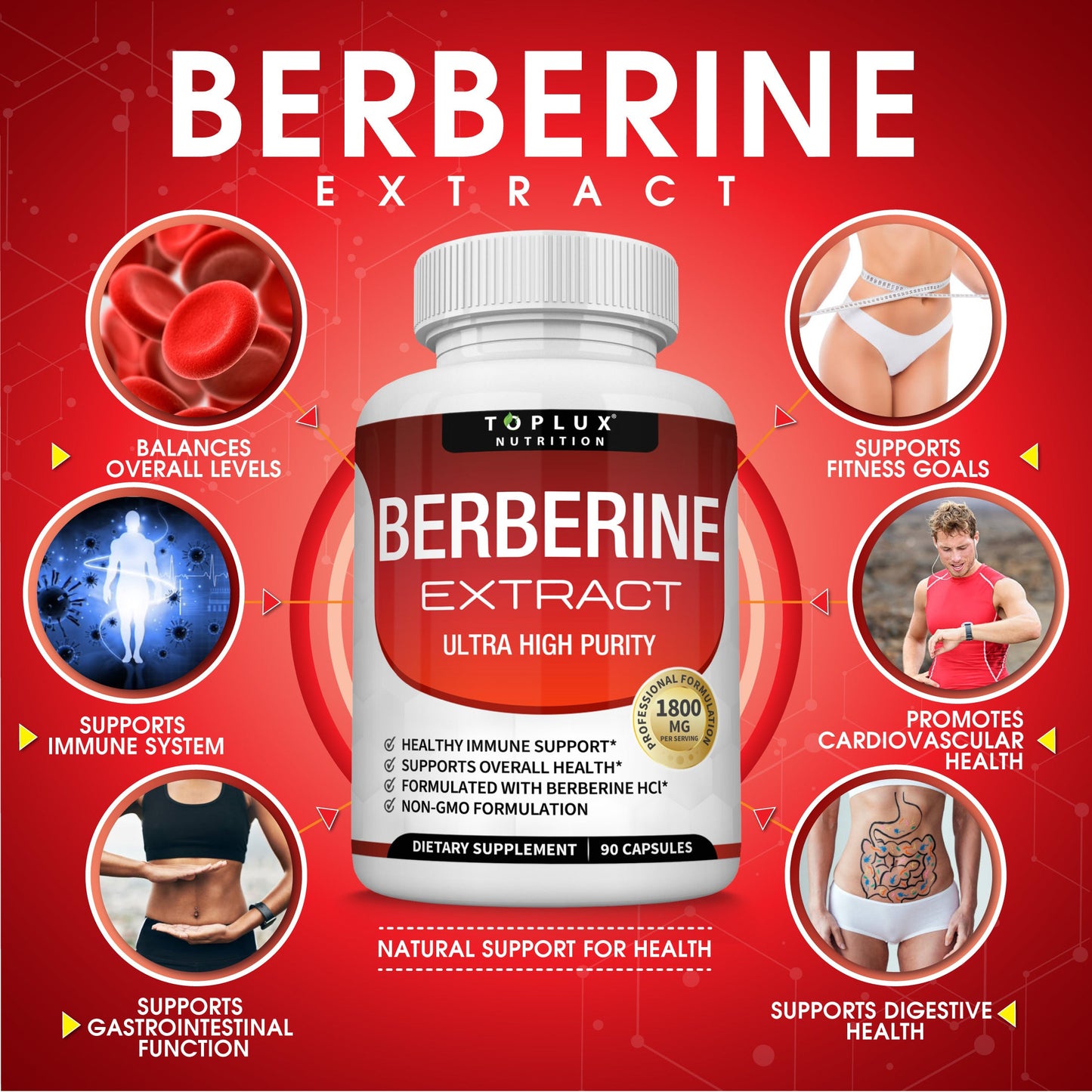 Berberine HCL - 90 Vegetable Capsules