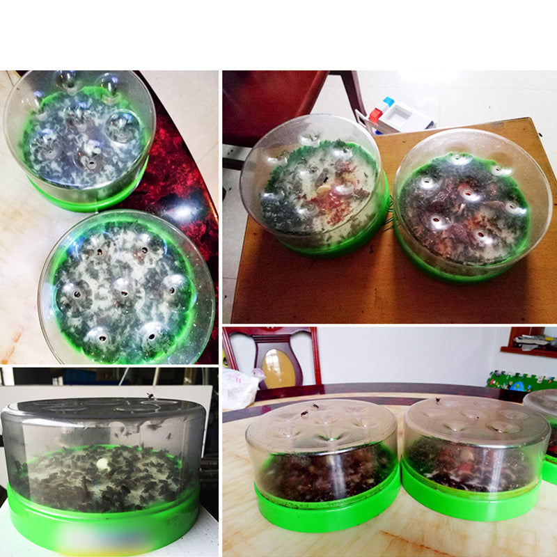 🪰 Reusable Fly Trap – No Electricity Needed for Your Kitchen, Garden & Patio 🌿