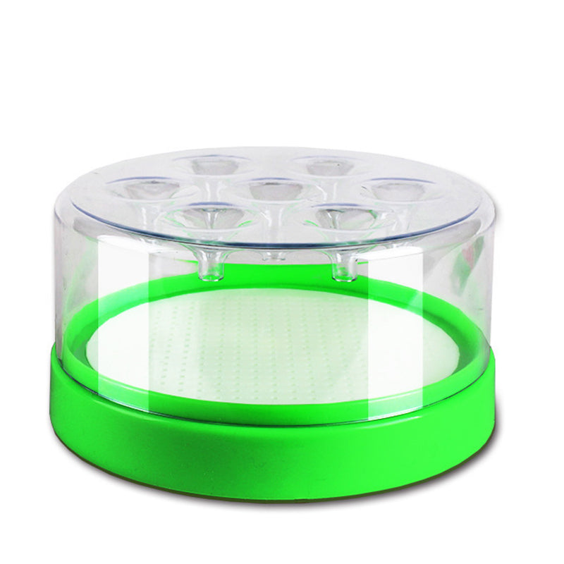 🪰 Reusable Fly Trap – No Electricity Needed for Your Kitchen, Garden & Patio 🌿